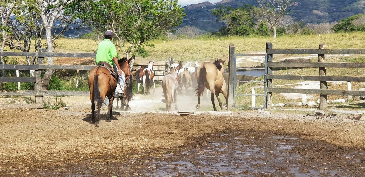 Hotel Hacienda El Rodeo Vueltas Ngoại thất bức ảnh